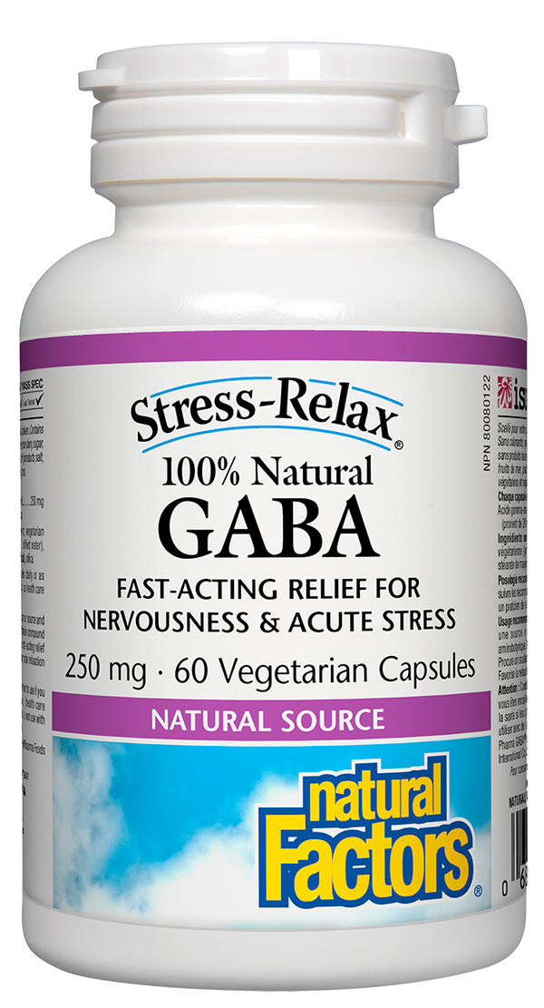 Natural Factors GABA 250 mg 60 Vegetarian Capsules - 1