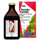Salus Floradix Liquid - 2